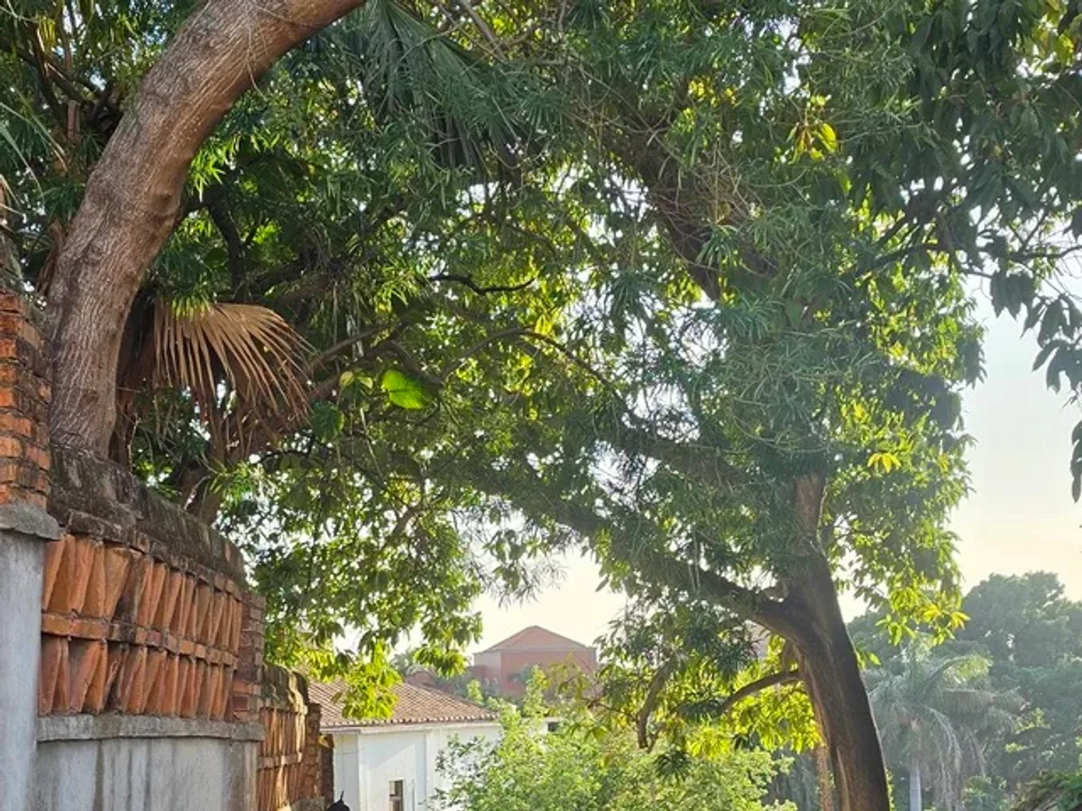 Half-Day Gulangyu Island Walking Tour from Xiamen